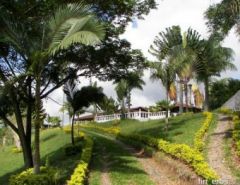 10034 - Finca in Manizales, Caldas